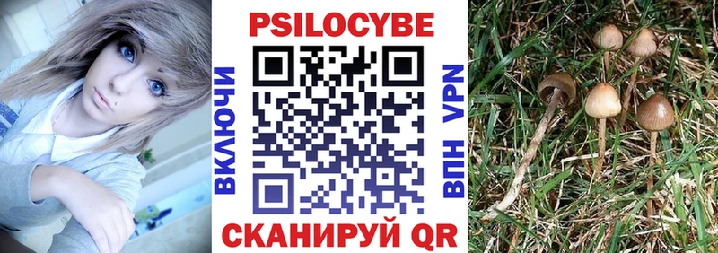кракен ONION  Одинцово  Галлюциногенные грибы ЛСД  наркошоп 